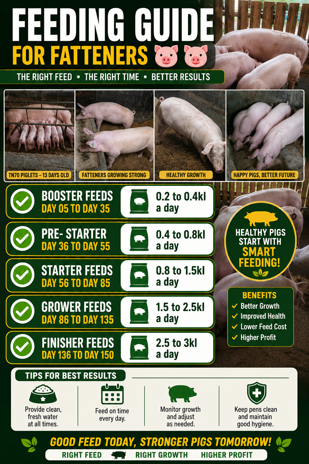 Feeding guide for fatteners at Castle Garden Farm showing feed type and daily amount by age